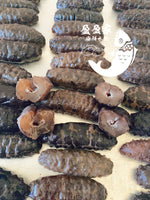 即食野生墨西哥刺参1磅 10/12根 纯净水泡发，Q弹爽口，健康滋补，整根炒菜，煮粥都可，冷冻真空包装