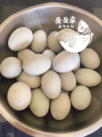 新品超美味 皮蛋鲜肉多汁水饺Preserved duck egg & pork and gravy dumplings 1.9磅 47/50个