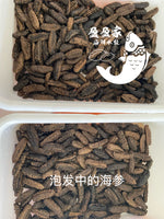即食野生墨西哥刺参1磅 10/12根 纯净水泡发，Q弹爽口，健康滋补，整根炒菜，煮粥都可，冷冻真空包装