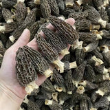 山珍新品 菌菇鲜肉多汁水饺 2types mushroom & pork dumpling (羊肚菌，杏鲍菇)1.5磅/34-38个