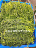 新品 1磅鲜虾鸡蛋茴香盒子(鲜虾27% )fresh dill  & shrimp27% &egg dumplings（27%shrimp contain）1 pound /6-8 pieces