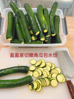 超级美味 西葫芦(意大利瓜)鲜虾(鲜虾27%)鲜肉水饺zucchini & fresh shrimp & pork dumplings（27%shrimp contain）