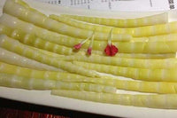 美味新品 野山笋鲜肉多汁水饺wild bamboo shoot & pork