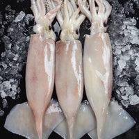 超鲜美鱿鱼🦑韭菜猪肉三鲜水饺(27%鱿鱼使用)Wild  squid 27%& leek & pork