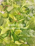 超健康新品 多种Organic 新鲜蔬菜鲜肉水饺New Organic multiple vegetables & pork dumpling